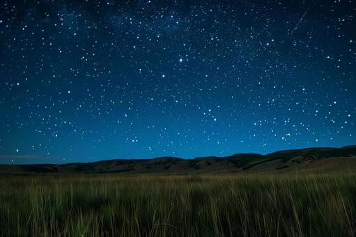 星降る草原の夜の写真