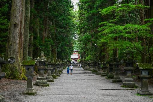 山梨・北口本宮富士浅間神社  北口本宮富士浅間神社,浅間神社,富士山の写真素材