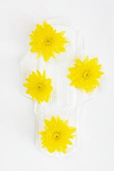 生理用ナプキンと黄色い花 生理,月経,生理用品の写真素材