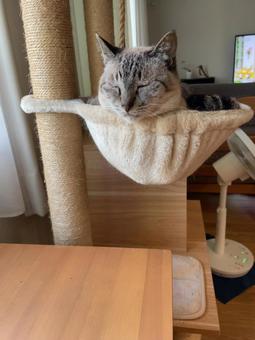 Nap, JPG