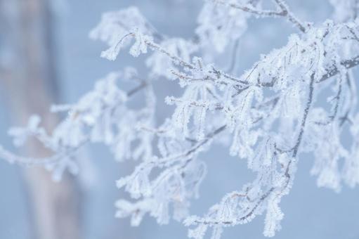 樹氷 樹氷,冬,寒いの写真素材