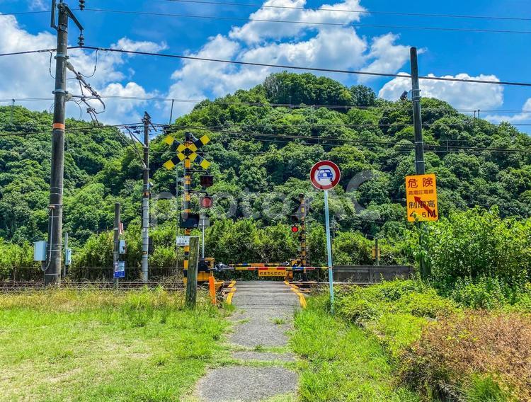 夏の田舎の風景 夏,晴れ,空の写真素材