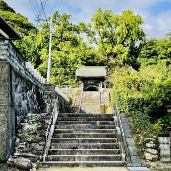 綾部八幡神社 綾部八幡神社,鳥居,参道の写真素材