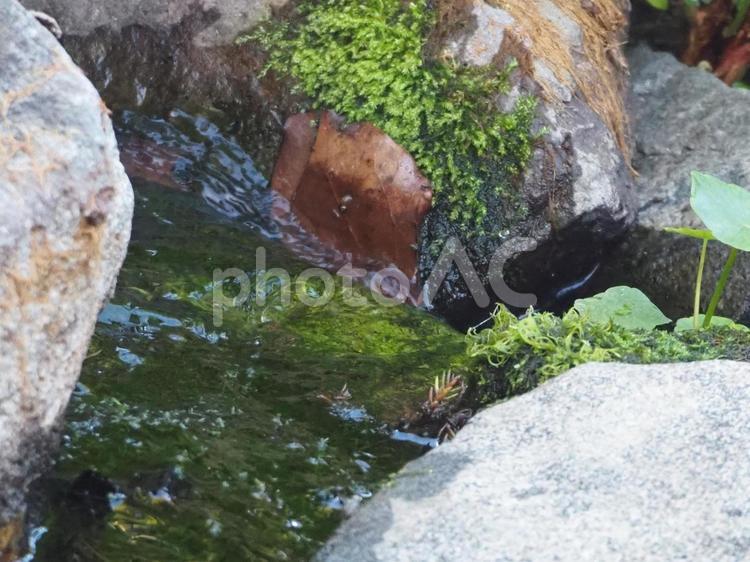 水のある風景 風景,癒し,屋外での写真素材