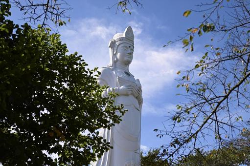 平和観音 船岡城址公園 木陰から覗く 平和観音 船岡城址公園 木陰から覗く 観音さま,巨像,仏像の写真素材