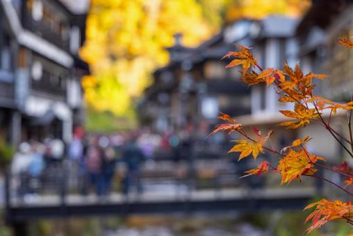 紅葉の旅行 もみじ,旅行,旅の写真素材