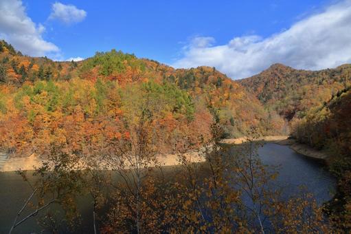 さっぽろ湖の黄葉６ 紅葉,黄葉,定山渓ダムの写真素材