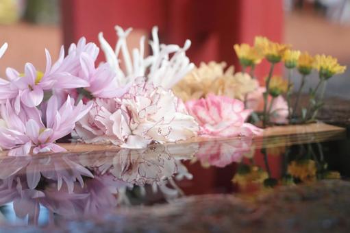 秋の花手水 秋の花手水の写真