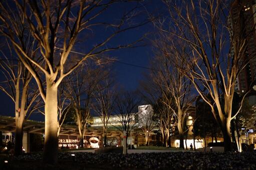 都会の夜 都会の夜の写真