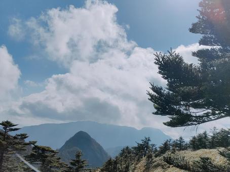 石鎚山の甕壺行き山道からの写真