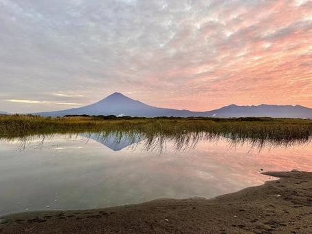 富士川から見る富士山 富士川から見る富士山の写真