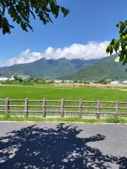 台東 関山の風景 台東 関山の風景の写真