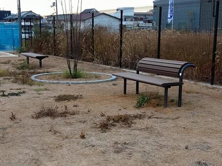 夕暮れの公園とベンチ ベンチ,公園,芝生の写真素材