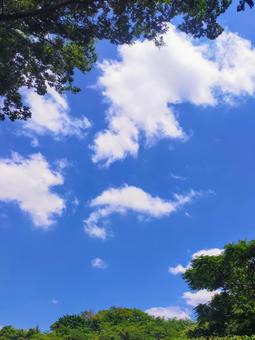 6月の青空、縦 6月の青空、縦の写真