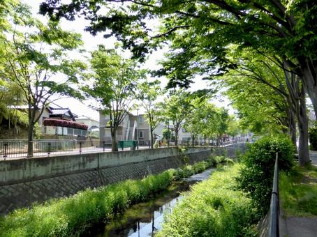 横浜市栄区・いたち川プロムナードを歩く 横浜市栄区・いたち川プロムナードを歩くの写真