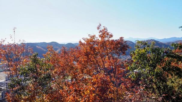 天覧山の頂上からの眺望&紅葉の山・飯能市 天覧山の頂上からの眺望&紅葉の山・飯能市 秋,天覧山,頂上の写真素材
