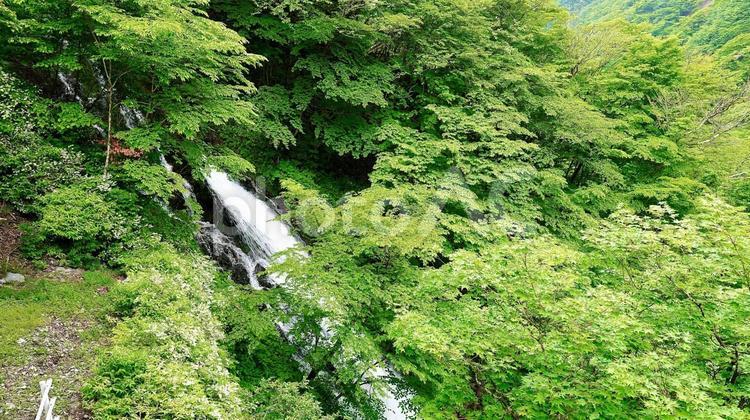 栃木県日光市の涅槃の滝 涅槃の滝,滝,山の写真素材