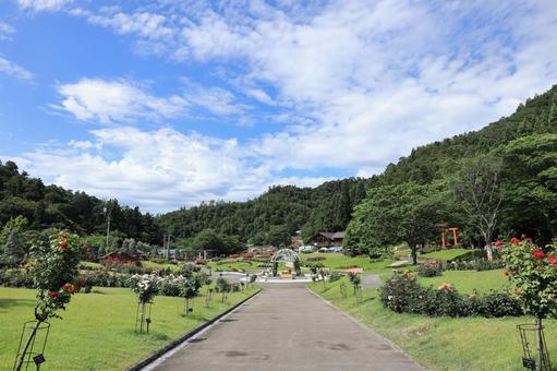 東沢バラ公園 東沢バラ公園の写真
