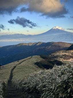 達磨山からの富士山 達磨山からの富士山 富士山,達磨山,伊豆山陵線歩道の写真素材