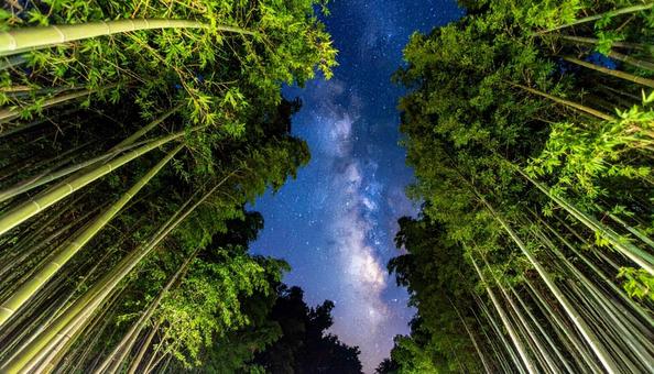 七夕 笹 天の川 七夕 笹 天の川の写真