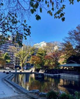 Autumn in the City, JPG