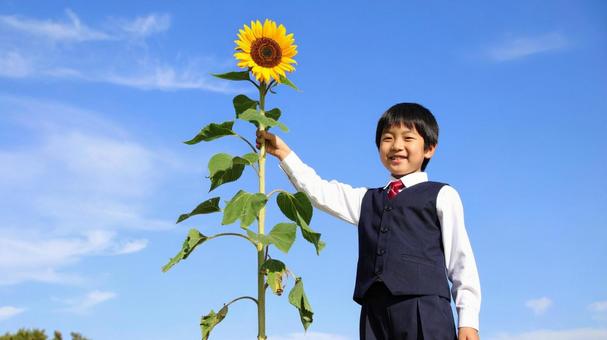 ひまわりと男の子#02Aiの写真