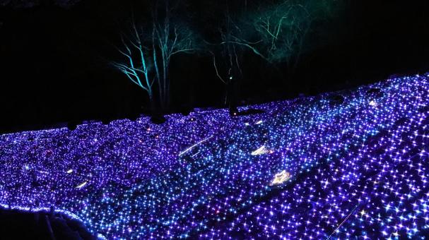虹の郷　イルミネーション イルミネーション,クリスマス,夜景の写真素材