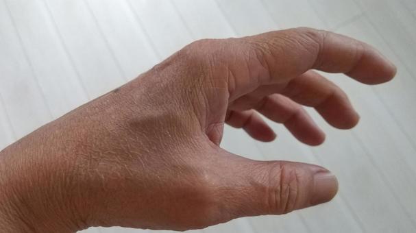 左手 左手,手,手の甲の写真素材