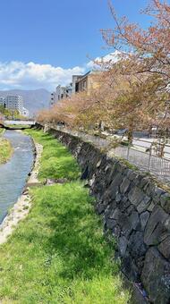 綺麗な遊歩道 風景,春,空の写真素材