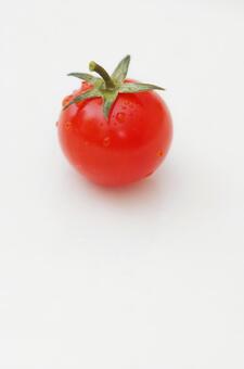 ミニトマト 縦1 ミニトマト 縦1の写真