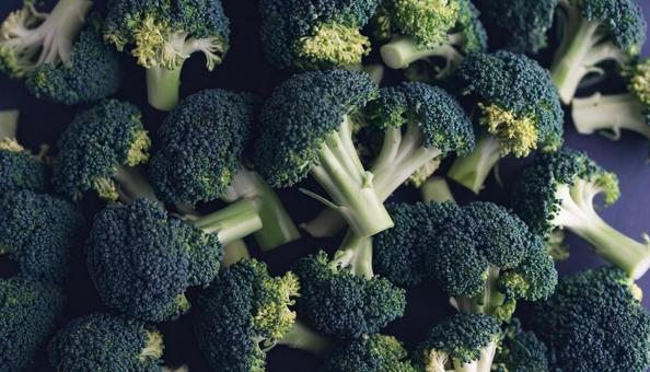 ブロッコリーの写真