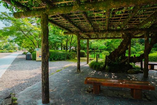【岐阜】岐阜公園 2025 【岐阜】岐阜公園 2025の写真