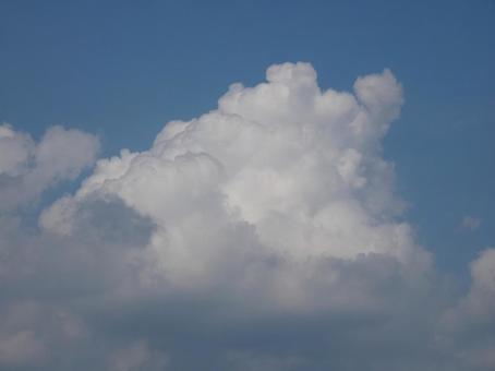 ラピュタの雲 ラピュタの雲の写真