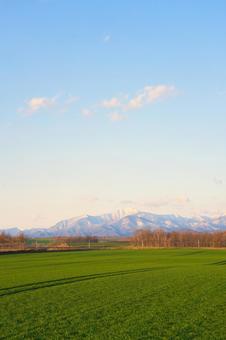 北海道の朝 北海道の朝の写真