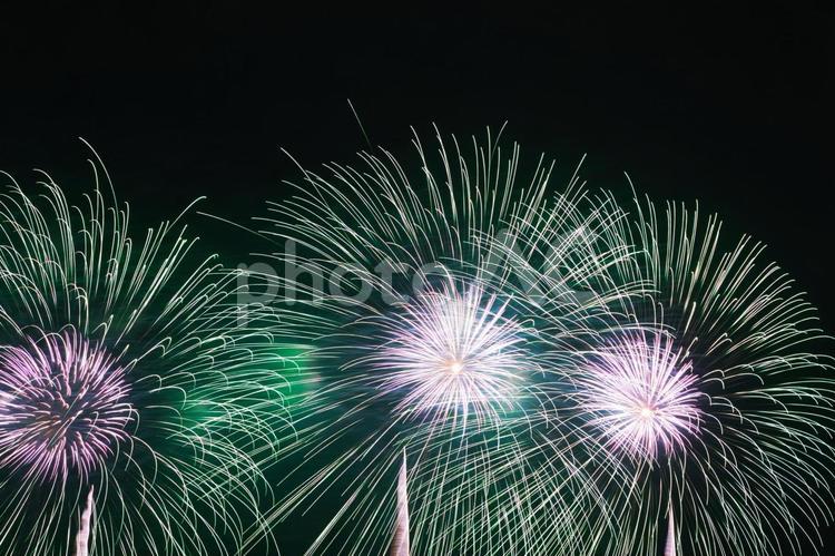 緑色の大きな打ち上げ花火 花火,花火大会,打ち上げ花火の写真素材