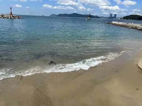 海辺の風景 釜山,海岸,砂浜の写真素材