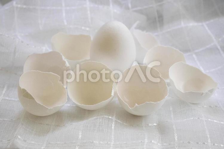 たまごと殻 たまご,卵,白玉の写真素材