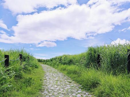 遊歩道と青空 遊歩道と青空 遊歩道,青空,雲の写真素材