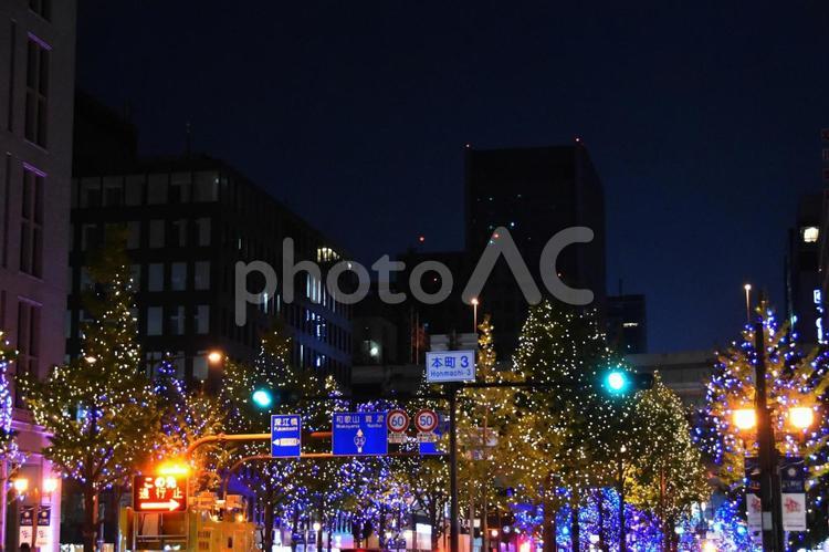 2023御堂筋イルミネーション 御堂筋,イルミネーション,夜景の写真素材