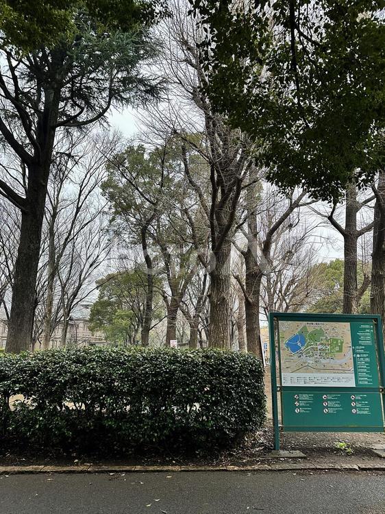 上野公園　冬の上野公園　雨の上野公園 上野恩賜公園（うえのおんしこう,台東区,博物館の写真素材