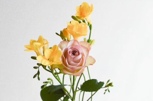 薔薇とフリージアの写真