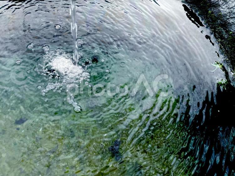 湧き水が溜まる風景 池,水,自然の写真素材