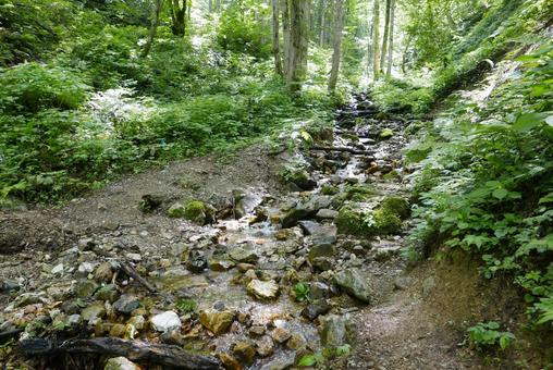 沢沿いの登山道 沢沿いの登山道の写真
