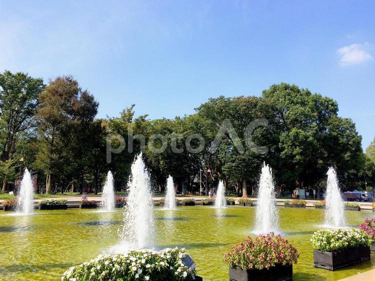東京風景・上野公園 上野公園,上野恩賜公園,噴水広場の写真素材