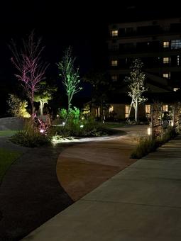 夜のあわら市の町並み　温泉街 ダーク,暗い,風景の写真素材