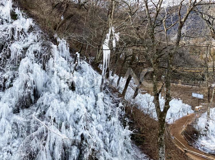昼間のあしがくぼの氷柱 氷柱,つらら,氷の写真素材