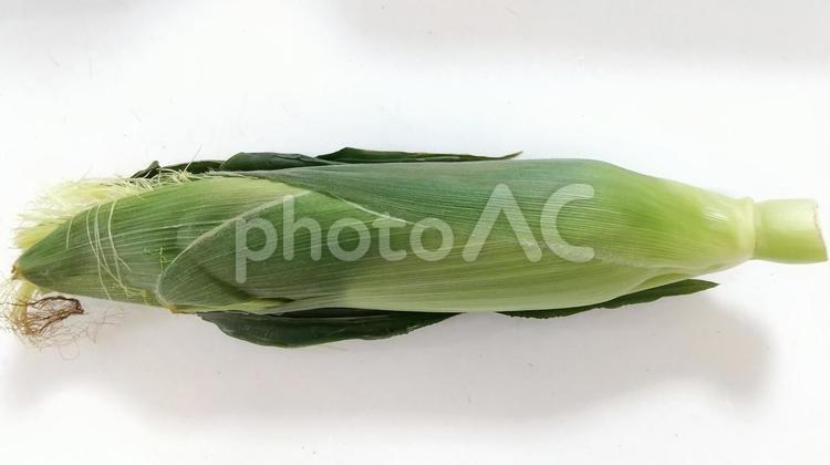 皮付きトウモロコシ 野菜,皮付きトウモロコシ,食材の写真素材