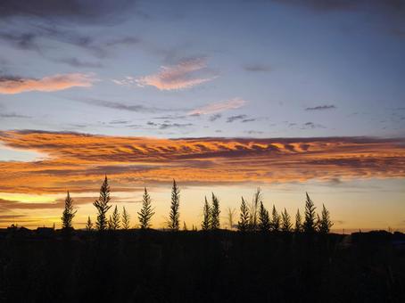 秋の夕暮れ 夕やけ,夕暮れ,雲の写真素材