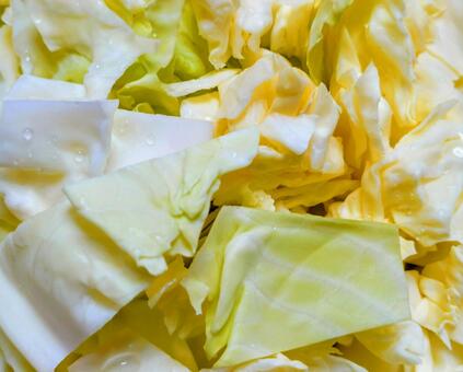キャベツ キャベツ,野菜,ざく切りの写真素材