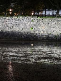 夜の濠、石垣と水鳥 石垣,濠,水辺の写真素材